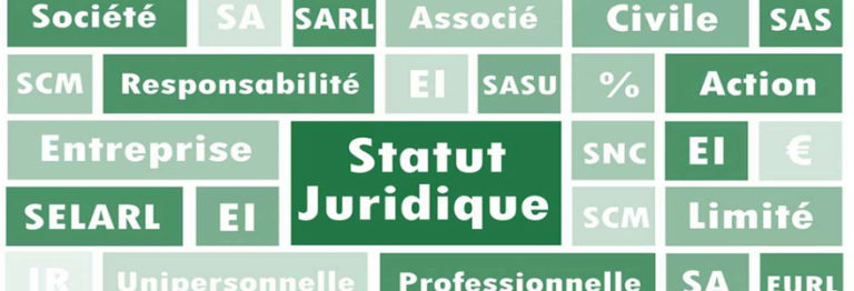 Comparaison Des Différents Statuts Juridiques